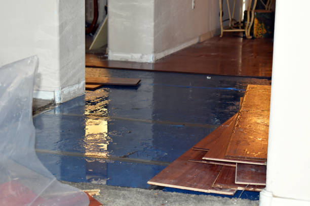 Professional Flood Damage Repair technician working in Thermal, CA